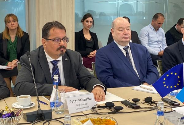 Aİ səfiri Azərbaycanda bir sıra sahələr üzrə investisiyalardan danışdı