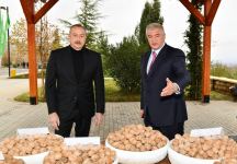 Prezident İlham Əliyev “Şəki-Oğuz” Aqroparkında yaradılan şəraitlə tanış olub (FOTO/VİDEO) (YENİLƏNİB)