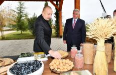 Prezident İlham Əliyev “Şəki-Oğuz” Aqroparkında yaradılan şəraitlə tanış olub (FOTO/VİDEO) (YENİLƏNİB)