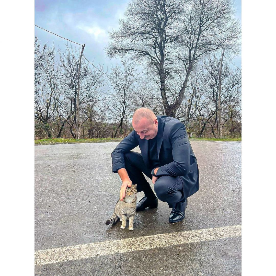 Birinci vitse-prezident Mehriban Əliyeva Prezident İlham Əliyevlə birgə Şəkiyə səfərindən təsirli görüntülər paylaşıb (FOTO)