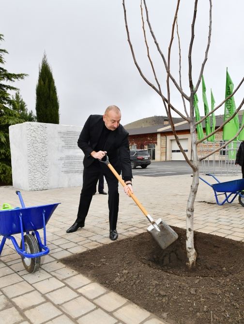 Prezident İlham Əliyev “Şəki-Oğuz” Aqroparkında yaradılan şəraitlə tanış olub (FOTO/VİDEO) (YENİLƏNİB)