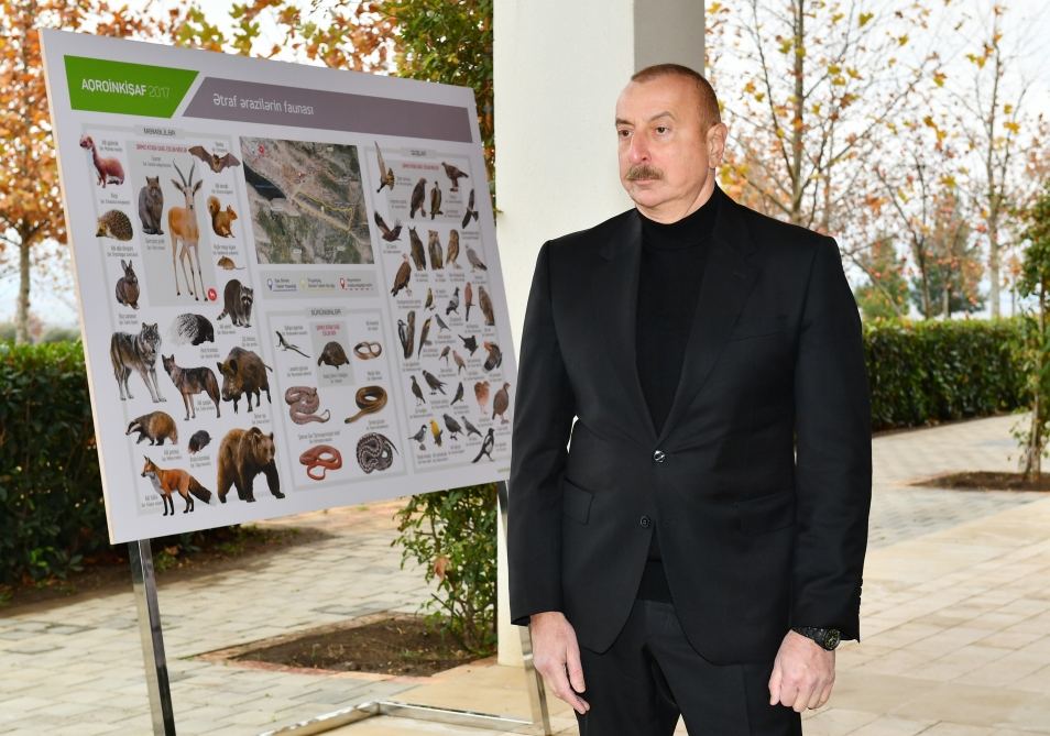 Prezident İlham Əliyev “Şəki-Oğuz” Aqroparkında yaradılan şəraitlə tanış olub (FOTO/VİDEO) (YENİLƏNİB)