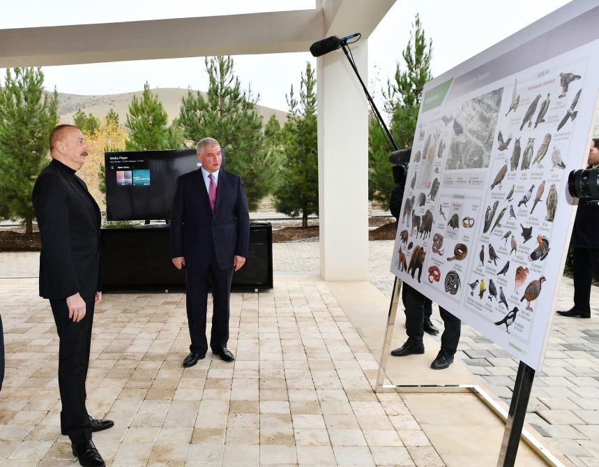 Prezident İlham Əliyev “Şəki-Oğuz” Aqroparkında yaradılan şəraitlə tanış olub (FOTO/VİDEO) (YENİLƏNİB)