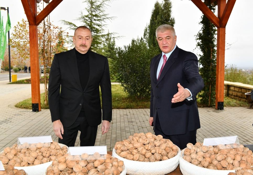 Prezident İlham Əliyev “Şəki-Oğuz” Aqroparkında yaradılan şəraitlə tanış olub (FOTO/VİDEO) (YENİLƏNİB)