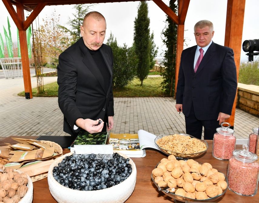 Prezident İlham Əliyev “Şəki-Oğuz” Aqroparkında yaradılan şəraitlə tanış olub (FOTO/VİDEO) (YENİLƏNİB)