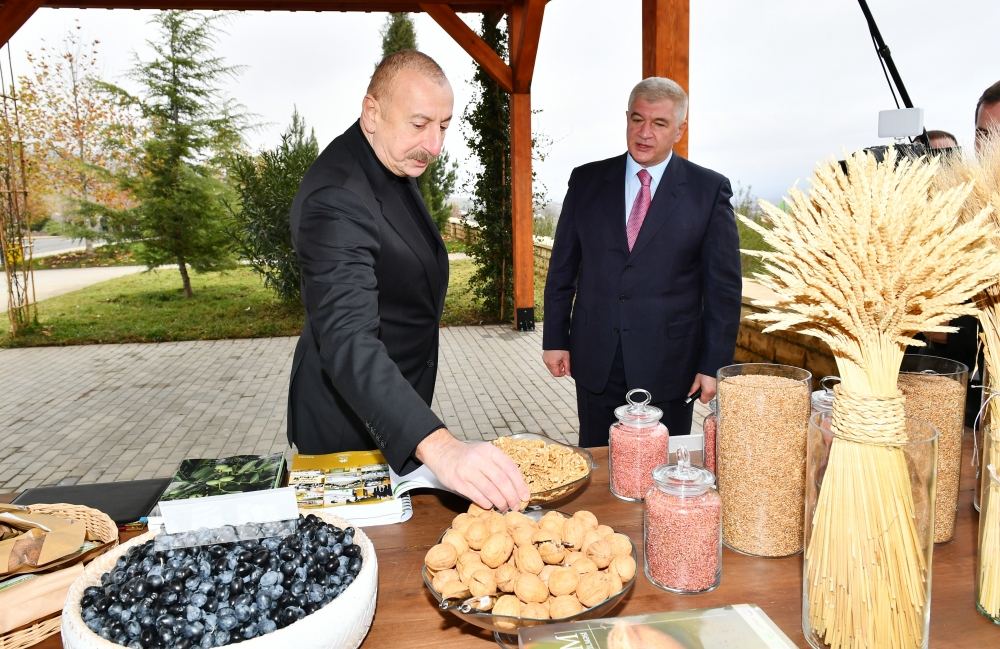 Prezident İlham Əliyev “Şəki-Oğuz” Aqroparkında yaradılan şəraitlə tanış olub (FOTO/VİDEO) (YENİLƏNİB)
