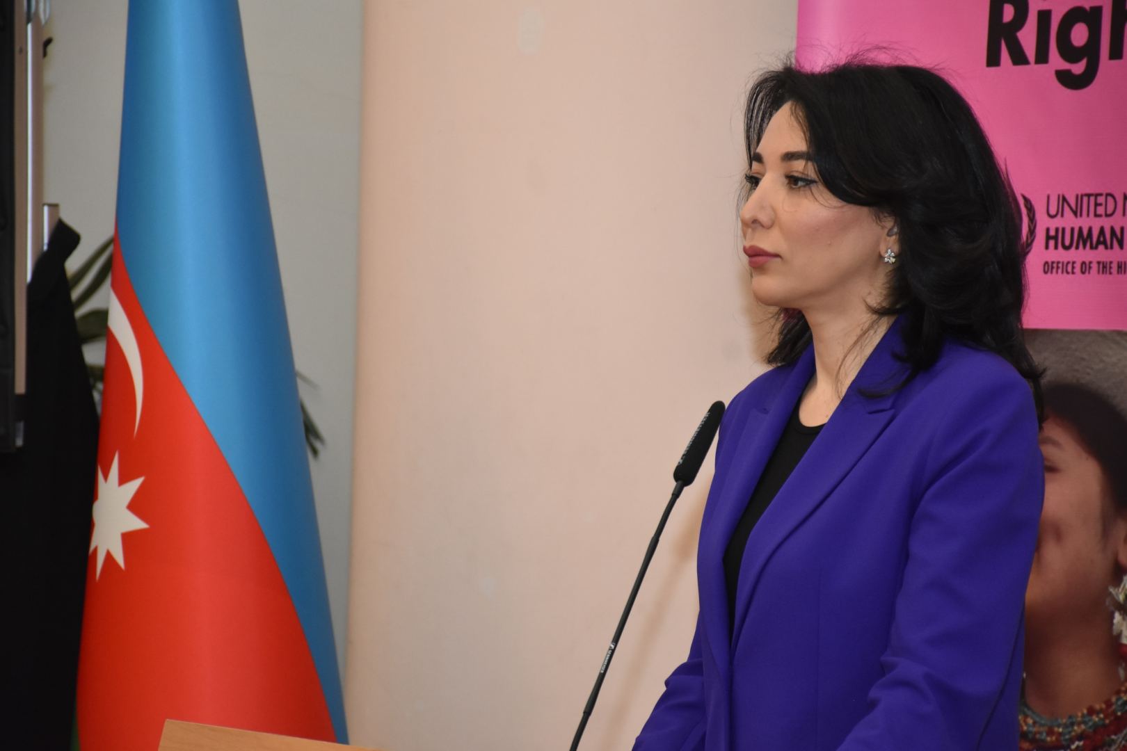 İkili standartlar va ayrı-seçkilikdən ən çox əziyyət çəkən xalqlardan biri Azərbaycan xalqı olub - Səbinə Əliyeva (FOTO)