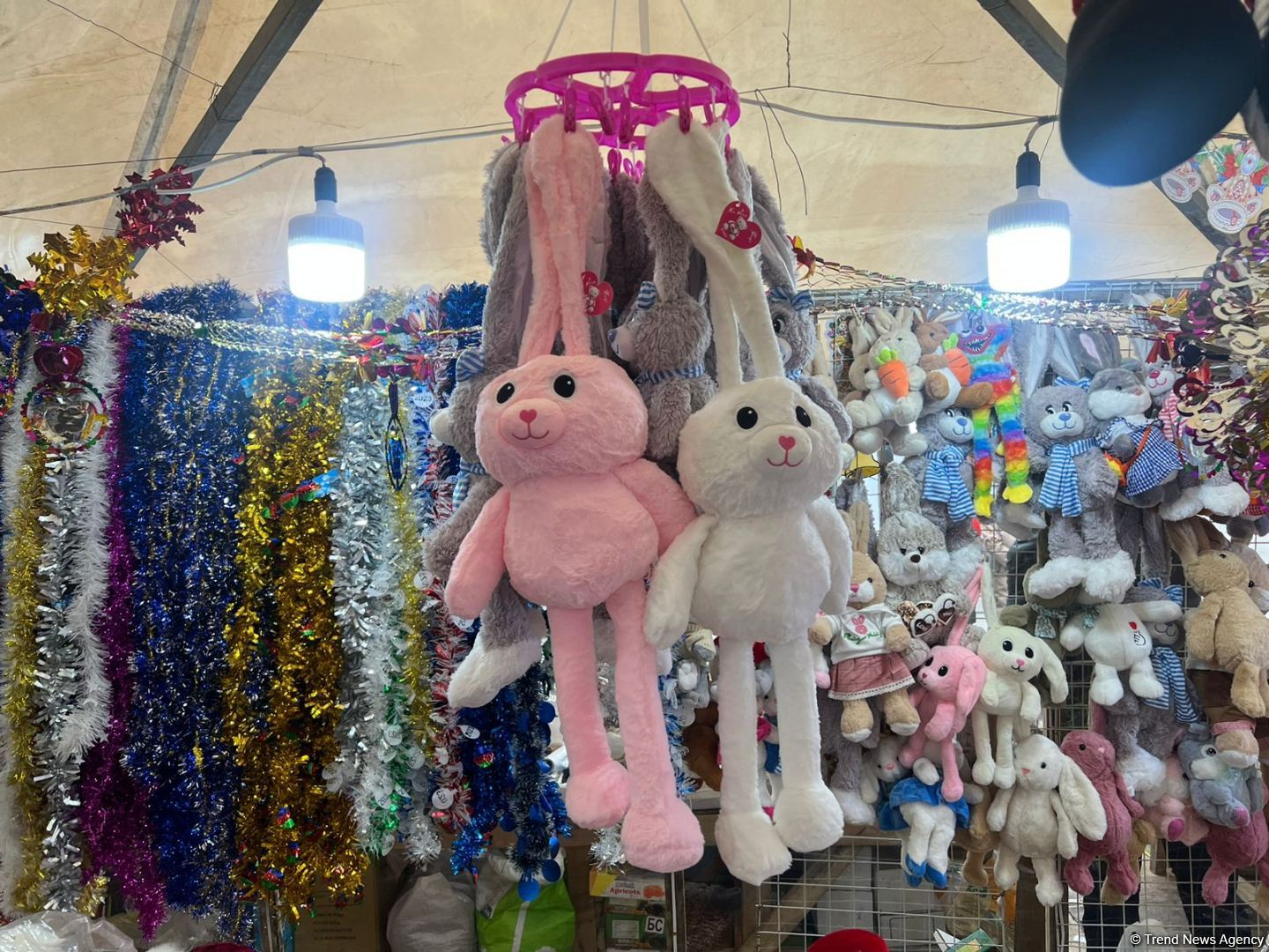 Yeni il yarmarkalarında qiymətlər: 150 sm sadə yolka 35 manat... (FOTO)