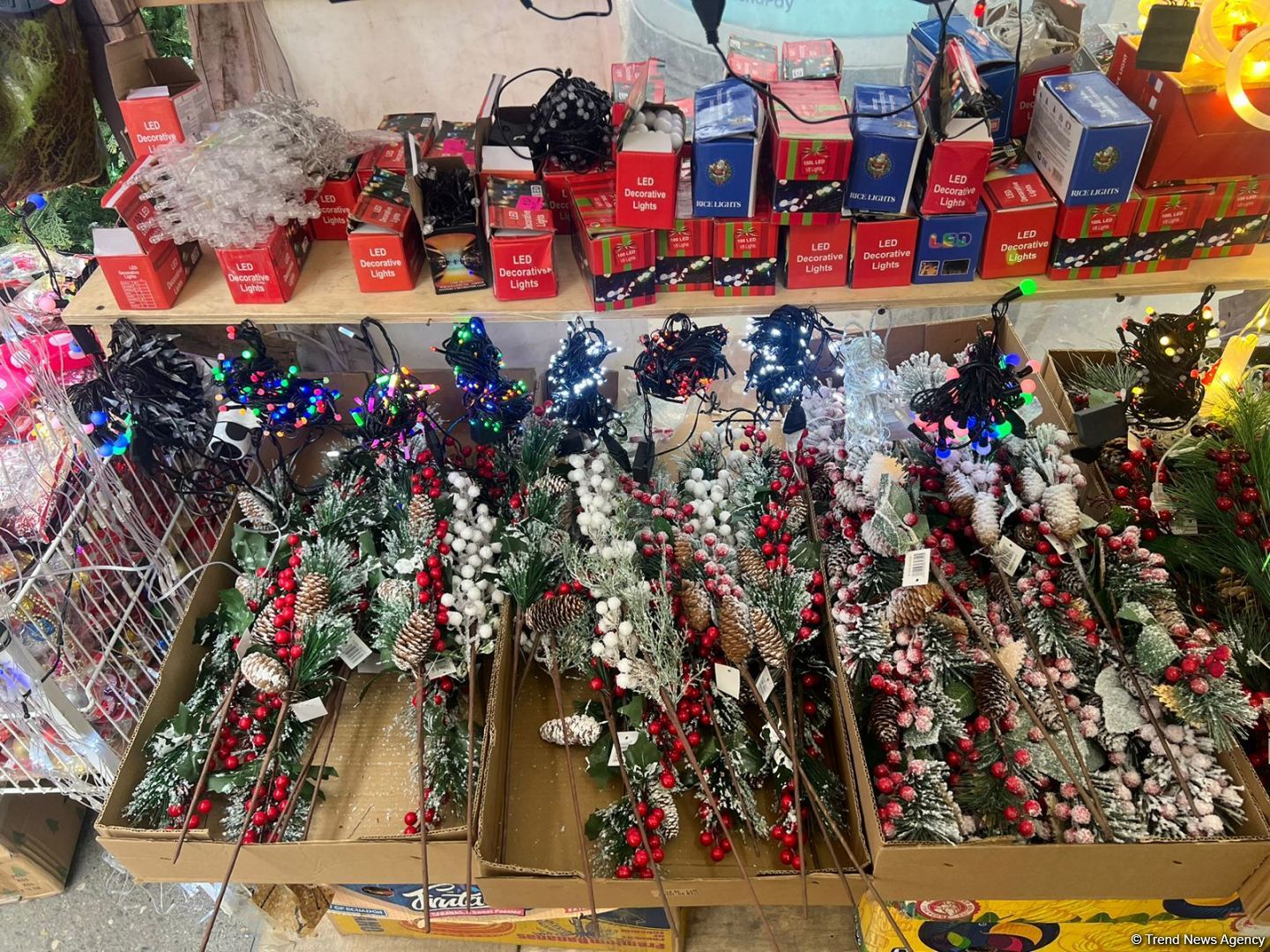 Yeni il yarmarkalarında qiymətlər: 150 sm sadə yolka 35 manat... (FOTO)