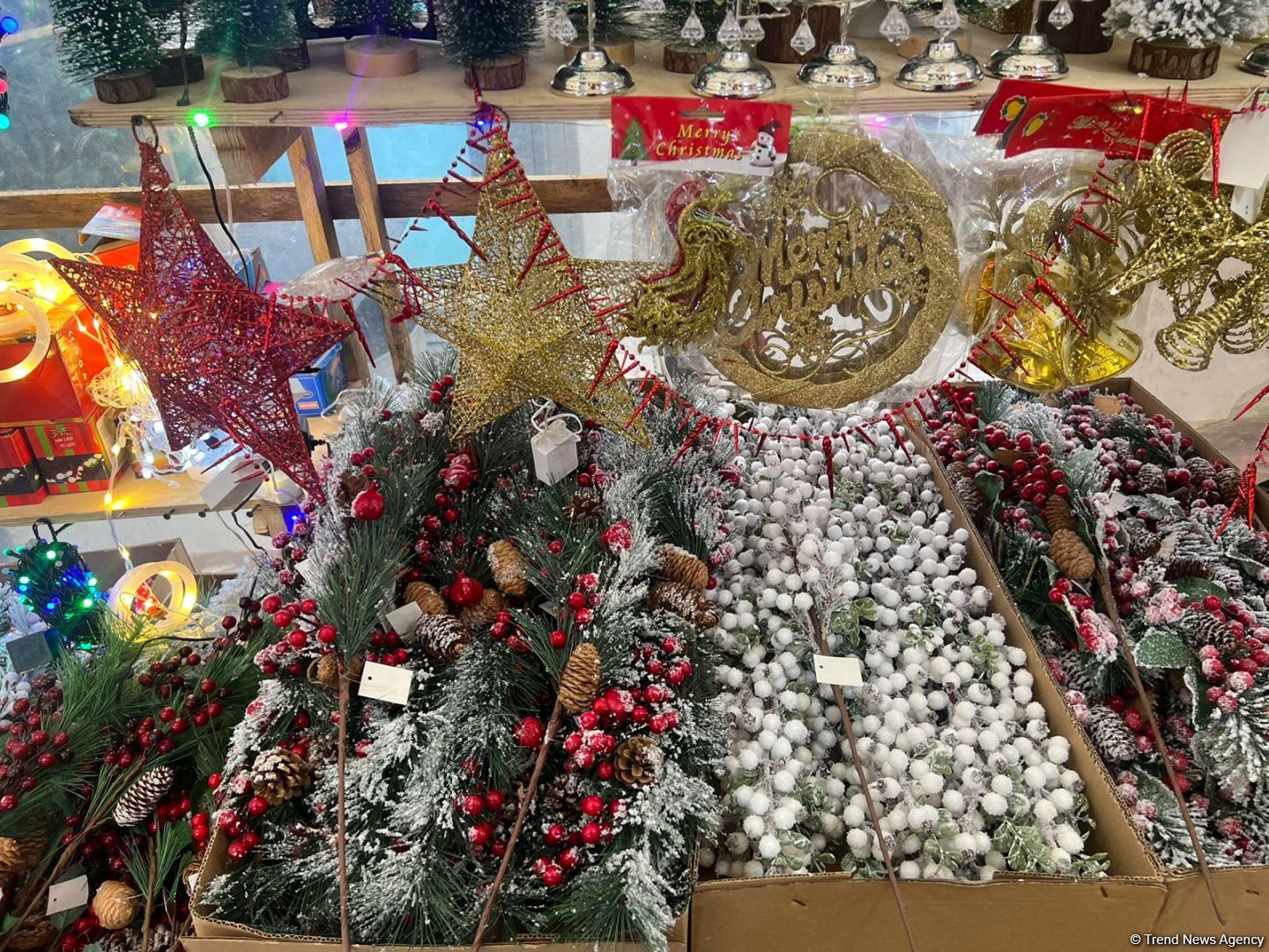 Yeni il yarmarkalarında qiymətlər: 150 sm sadə yolka 35 manat... (FOTO)