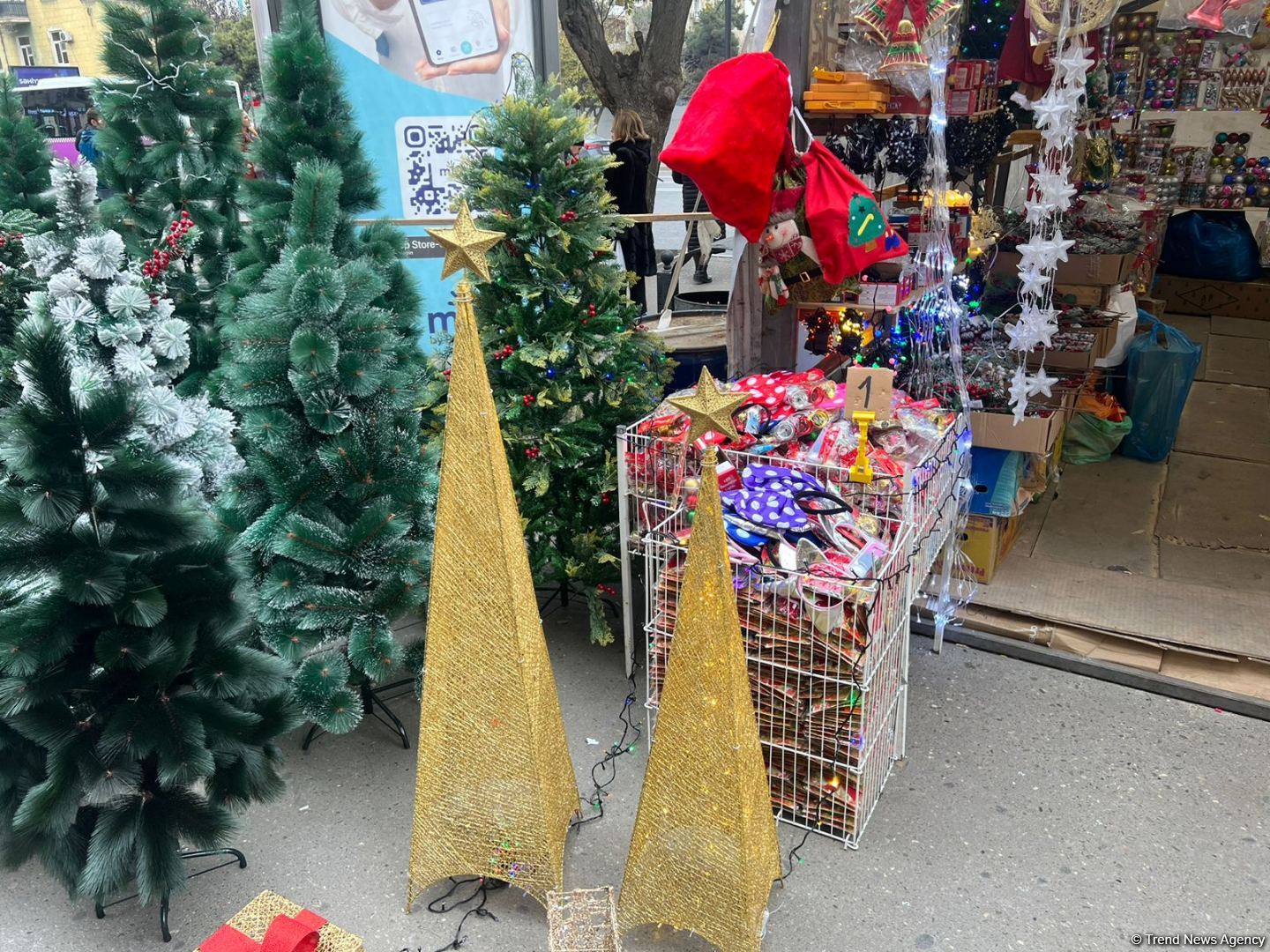 Yeni il yarmarkalarında qiymətlər: 150 sm sadə yolka 35 manat... (FOTO)