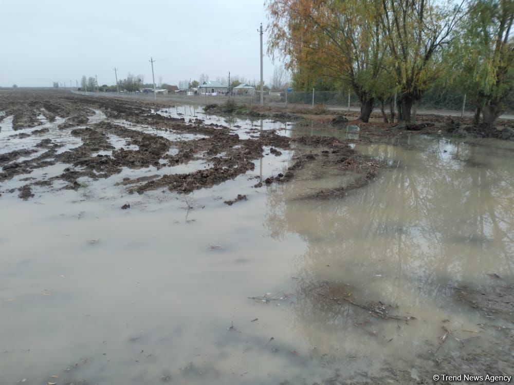 Ağdamın kəndini su basıb (FOTO)