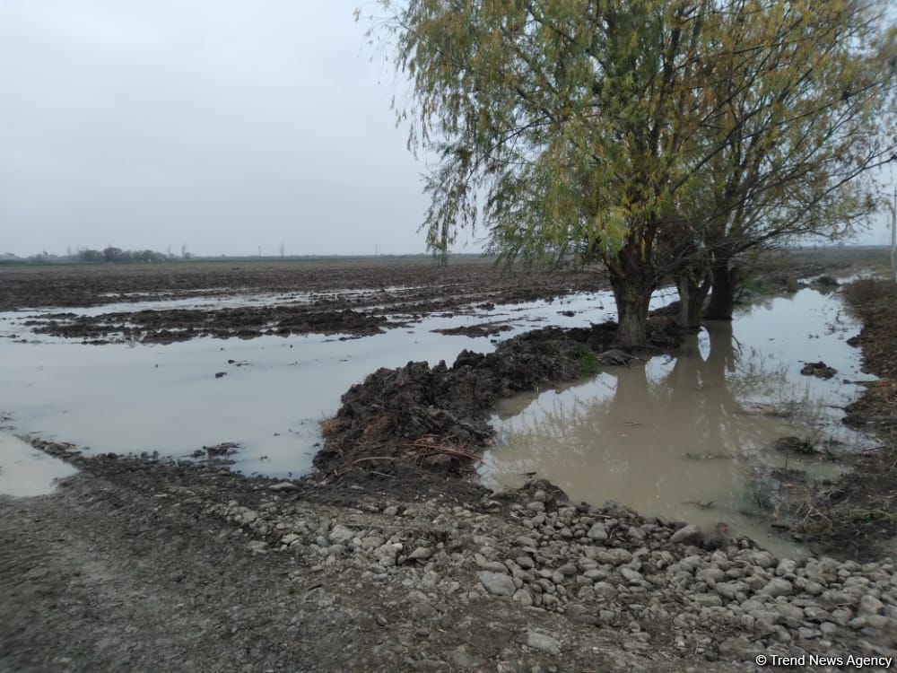 Ağdamın kəndini su basıb (FOTO)