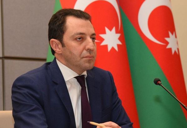 Azərbaycan öz müşahidələrini Beynəlxalq Ədalət Məhkəməsinə təqdim edib - XİN rəhbərinin müavini