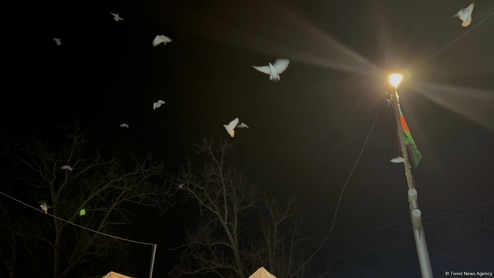 Laçın yolundan sülh mesajı: Aksiya iştirakçıları səmaya 44 göyərçin buraxdı (FOTO/VİDEO)
