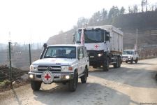 BQXK-nın daha üç avtomobili Laçın yolundan maneəsiz hərəkət edib (FOTO/VİDEO)