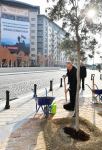 Prezident İlham Əliyev Bakı Ağ Şəhərdə görülən işlərlə tanış olub, Qarabağ Atları Kompleksinin təməlini qoyub (FOTO/VİDEO) (YENİLƏNİB)