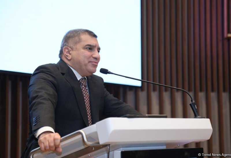 Azərbaycan İnvestisiya Holdinqinin Baş icraçı direktoru vəzifəsindən azad edilib