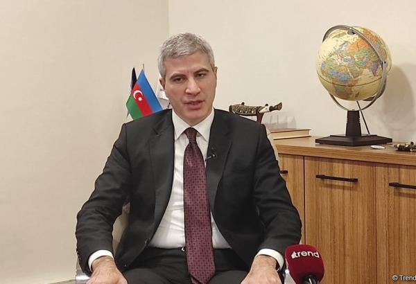 Əlilliyi olan şəxslərin işlə təminedilmə prosesini elektronlaşdırırıq - Mustafa Abbasbəyli