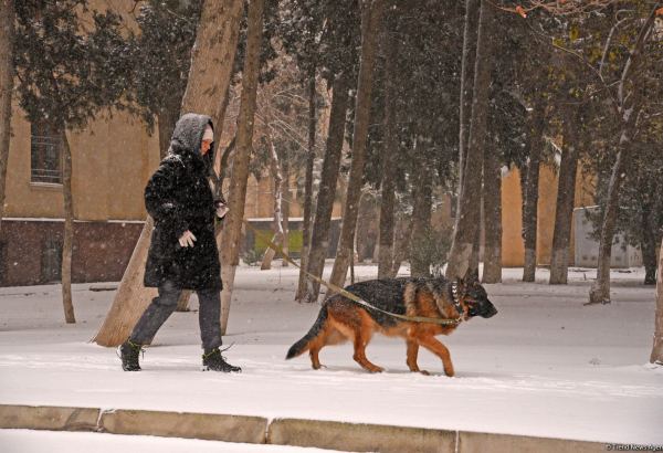 Qarlı Bakıdan FOTOREPORTAJ