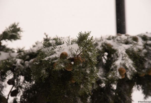 Bəzi rayonlara qar yağacaq - SABAHIN HAVASI