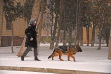 Qarlı Bakıdan FOTOREPORTAJ