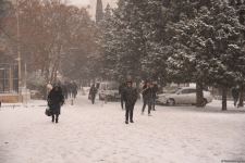 Qarlı Bakıdan FOTOREPORTAJ