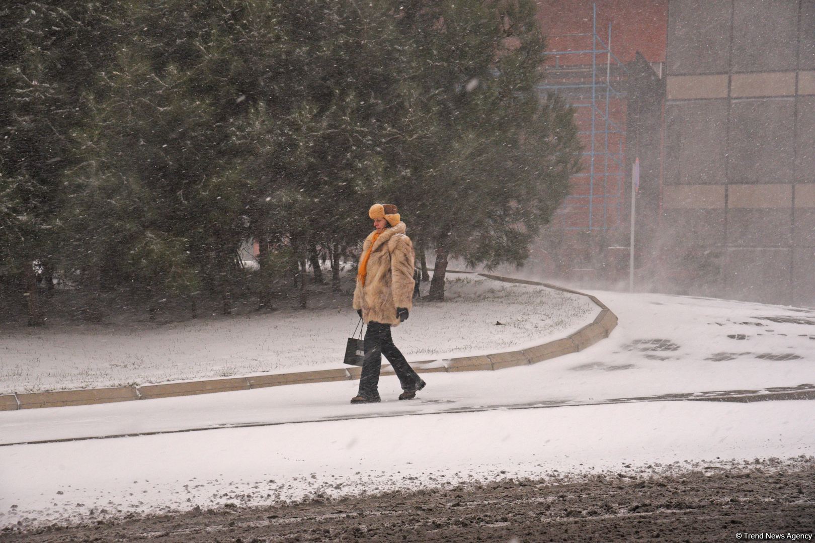 Qarlı Bakıdan FOTOREPORTAJ