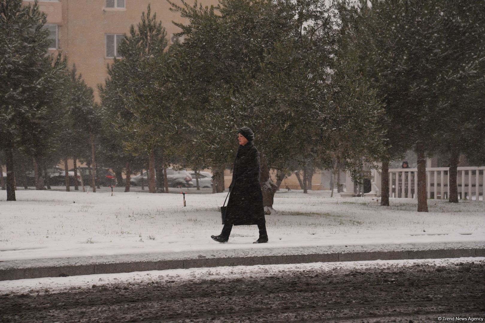 Qarlı Bakıdan FOTOREPORTAJ