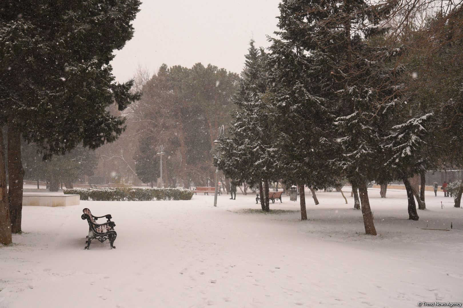 Qarlı Bakıdan FOTOREPORTAJ