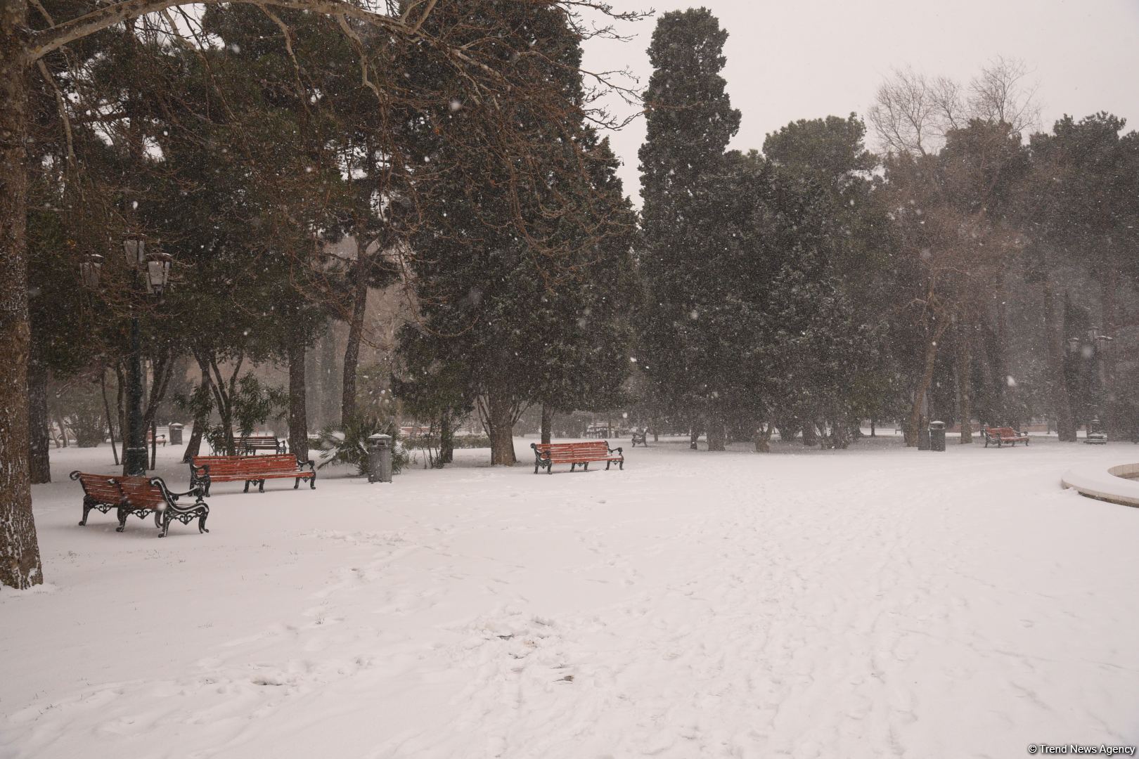 Qarlı Bakıdan FOTOREPORTAJ