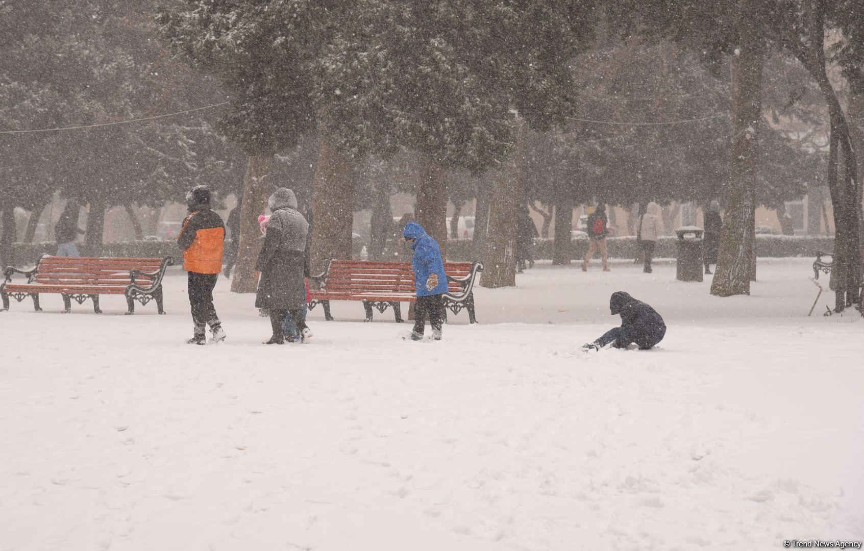 Qarlı Bakıdan FOTOREPORTAJ