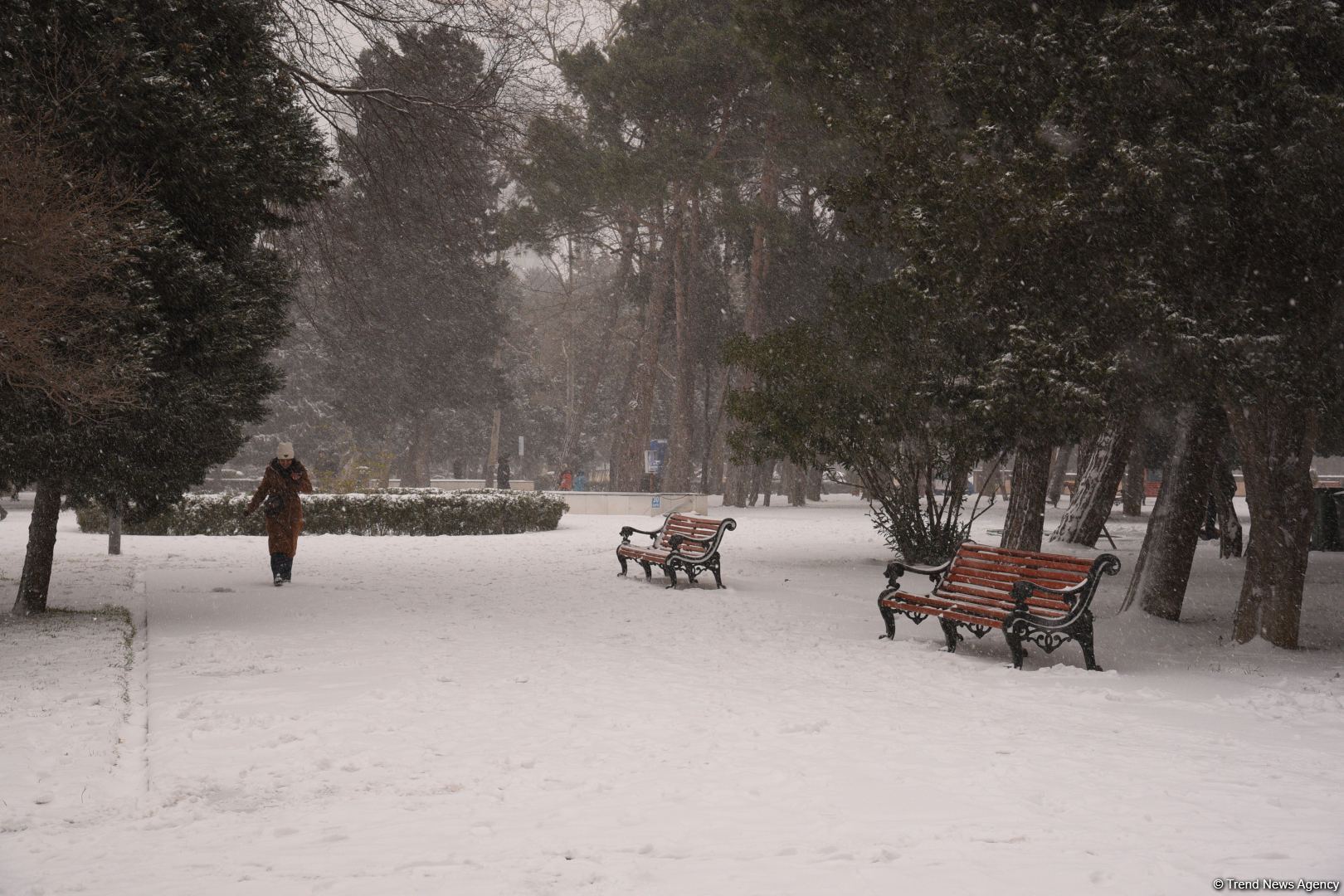 Qarlı Bakıdan FOTOREPORTAJ