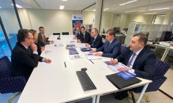 Qarabağda itkin düşmüş şəxslərin qalıqlarının müəyyənləşdirilməsi üçün Beynəlxalq Komissiya ilə əməkdaşlıq müzakirə olunub (FOTO)