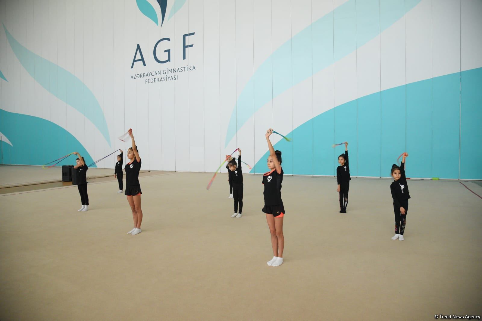 Şəmkir və Sumqayıtdan olan gimnast qızlar təlim-məşq toplanışı üçün Bakıya gəliblər (FOTO)