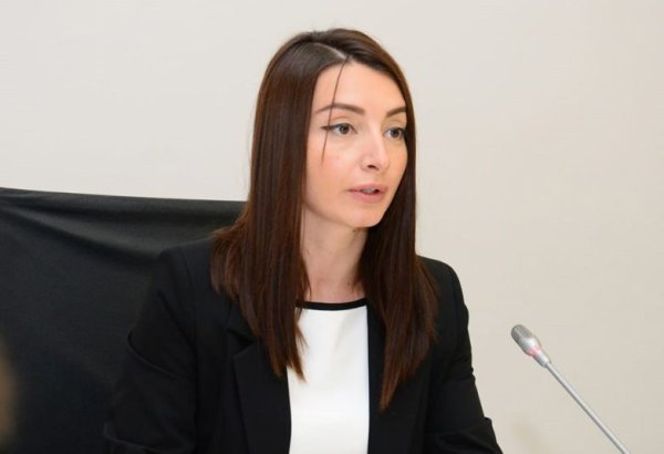 Leyla Abdullayeva Fransada aparılan anti-Azərbaycan kampaniyasını pislədi