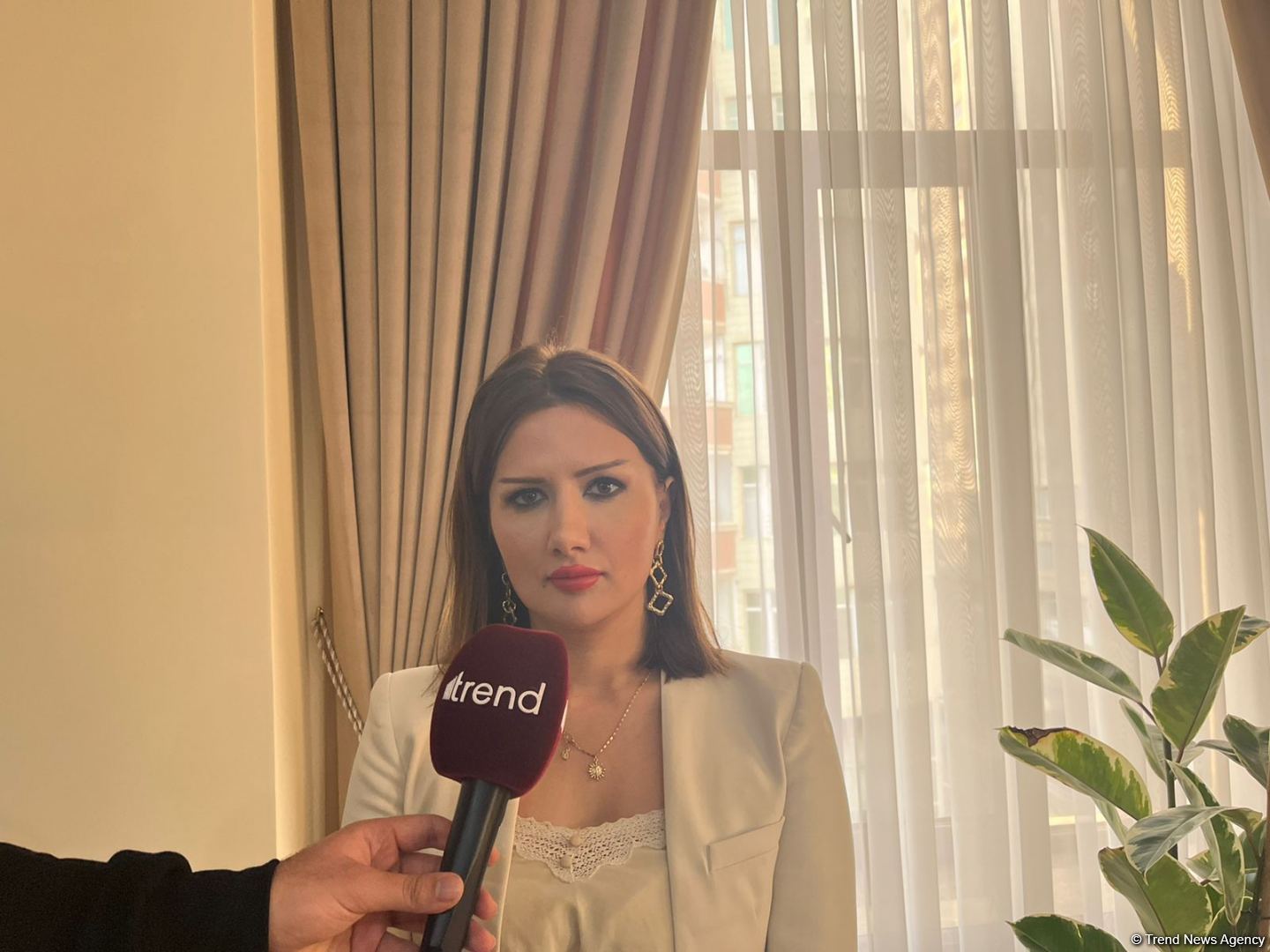 Ermənistandan qovulmuş bütün azərbaycanlılar və onların varislərinin vətənlərinə qayıtmaq hüququ var - Ülviyyə Zülfiqar (MÜSAHİBƏ)