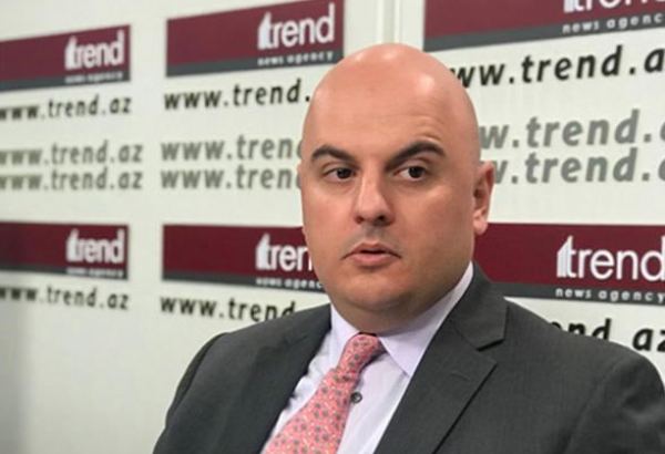 Törədilən təxribatlar Ermənistanın revanşist siyasətinin sübutudur - Piter Teys