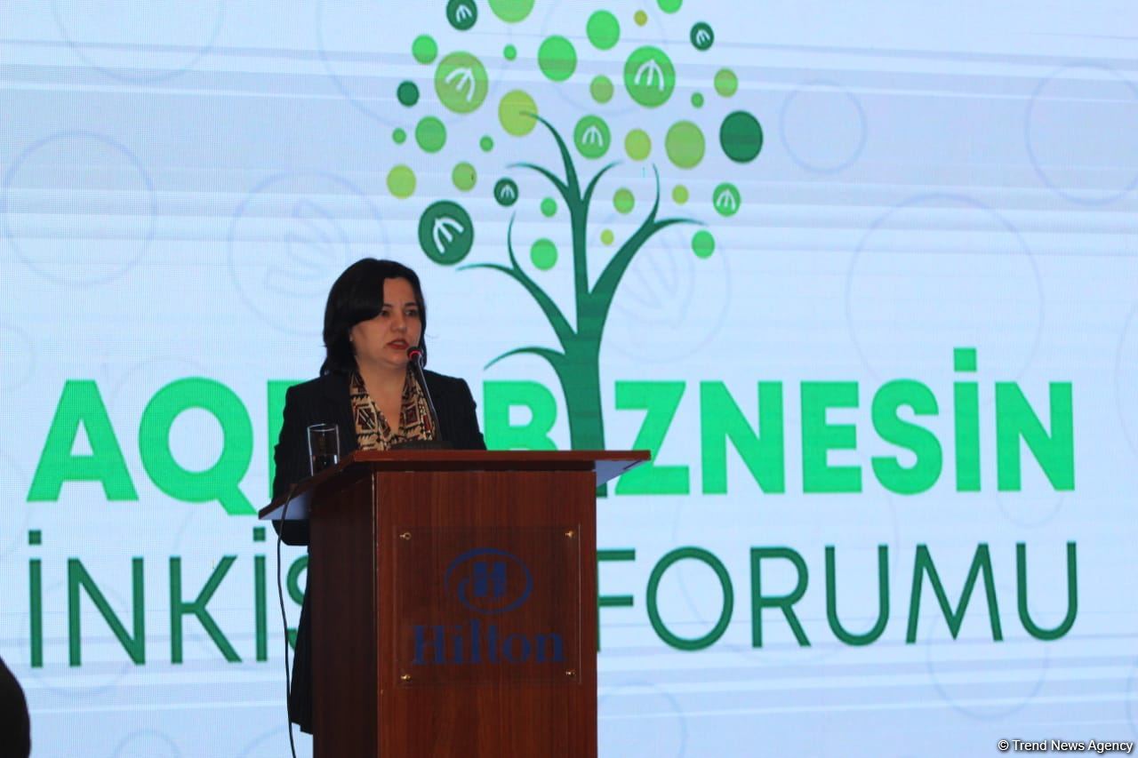 Əsas məqsədlərimizdən biri azad edilmiş ərazilərin dəyər zəncirinə inteqrasiyasıdır - İlhamə Qədimova (FOTO)