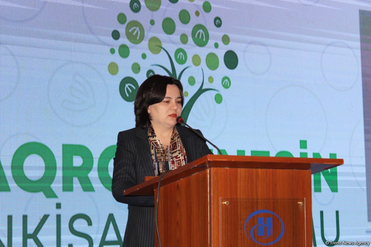 Əsas məqsədlərimizdən biri azad edilmiş ərazilərin dəyər zəncirinə inteqrasiyasıdır - İlhamə Qədimova (FOTO)