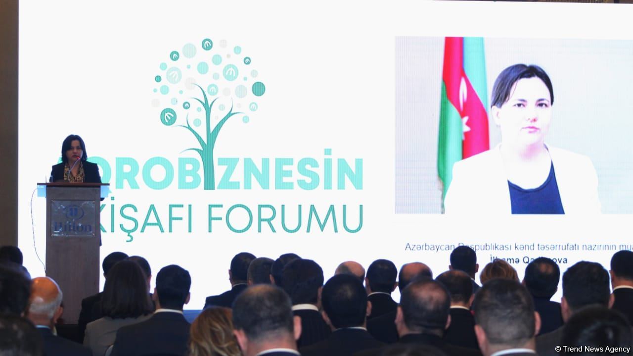 Əsas məqsədlərimizdən biri azad edilmiş ərazilərin dəyər zəncirinə inteqrasiyasıdır - İlhamə Qədimova (FOTO)
