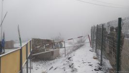BQXK-ya məxsus avtomobillər Laçın yolundan keçib (FOTO)