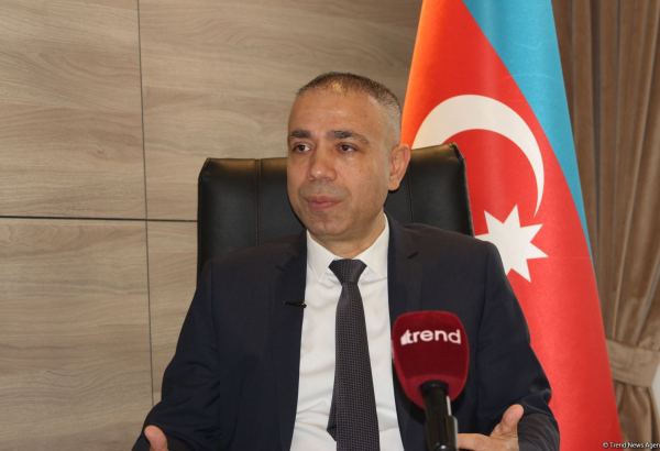 Naxçıvan Azərbaycandan Türkiyə və Avropaya təmiz enerji nəqli üçün qovşağa çevriləcək - Nazir müavini