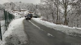 RSK-ya məxsus daha 7 maşın Laçın yolundan keçib (FOTO)