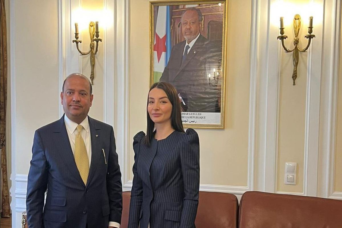 Leyla Abdullayeva İtaliya və Cibutinin Parisdəki səfirləri ilə görüşüb (FOTO)