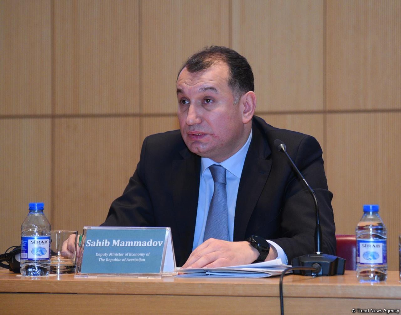 Ümummilli lider Heydər Əliyevin siyasəti fundamental nəticələrə səbəb olub - İqtisadiyyat nazirinin müavini