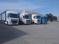 Azərbaycandan daha 7 ədəd modul tipli ev Türkiyəyə yola salınıb (FOTO)