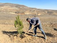Media nümayəndələri Cəbrayılda meşə-park kompleksində ağac əkiblər (FOTO)