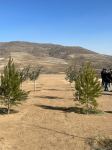 Media nümayəndələri Cəbrayılda meşə-park kompleksində ağac əkiblər (FOTO)