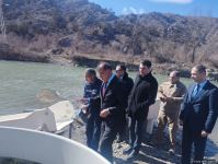 Həkəri çayına qızılxallı forel balıqları buraxılıb (FOTO)